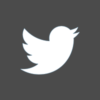 Twitter Social Icon